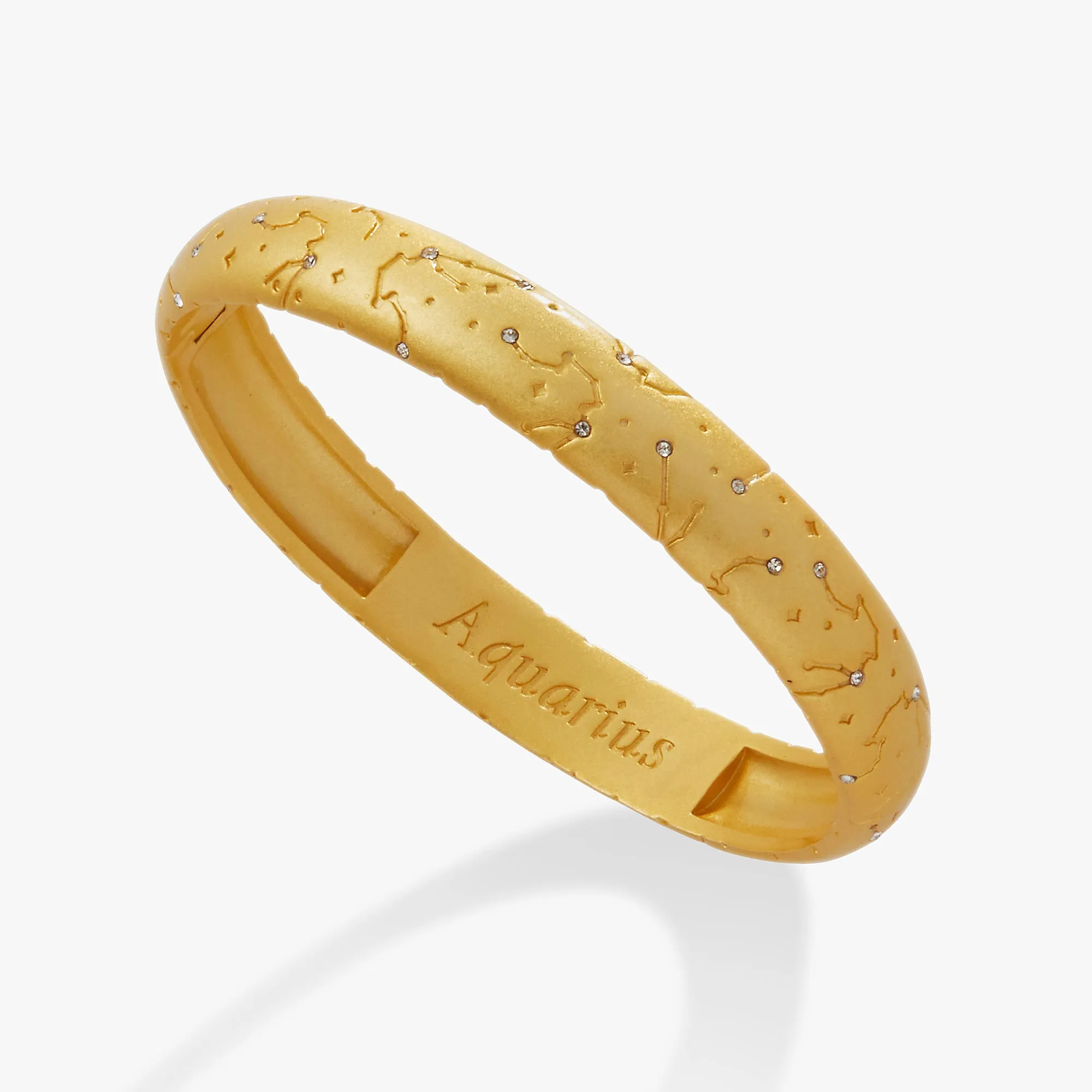 Aquarius Zodiac Hinge Bangle